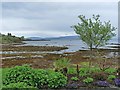 NG6423 : Broadford Bay at low tide, Isle of Skye by Robin Drayton