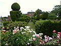 Topiary avenue viewed from the rose garden at Mount Ephraim, Staplestreet