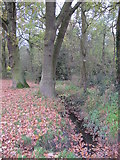 TQ4466 : The Kyd Brook - Main Branch, west of Petts Wood Recreation Ground by Mike Quinn
