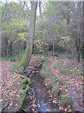 TQ4466 : The Kyd Brook - Main Branch, west of Petts Wood Recreation Ground (2) by Mike Quinn