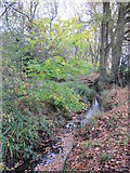 TQ4466 : The Kyd Brook - Main Branch, west of Petts Wood Recreation Ground (3) by Mike Quinn