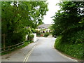 Studland, thatched cottages