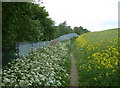 Footpath by railway line