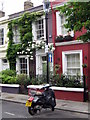 Rose Around The Door -  Portobello Road