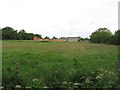 Fields near Wokingham