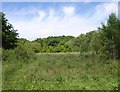 Rackenford Common