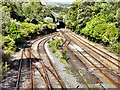 Railway from Holroyd Road