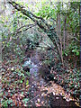 The Kyd Brook - Main Branch, in Clay Wood (2)