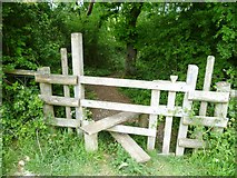 TQ2913 : Stile into wood above Wellcombe Bottom by Shazz