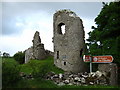 M2798 : Ballylahan Castle by Pamela Norrington