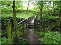 Footbridge on Reelers Trail