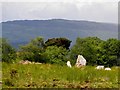 Standing stone, Mountdrum