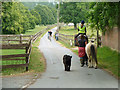 Bridleway traffic, Old Lodge Farm