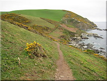 SX1750 : Coast path approaching East Coombe by Philip Halling