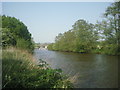 River Medway near Wateringbury