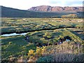 Salt marsh at the head of Little Loch Broom, Dundonnell