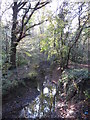 The Kyd Brook - East Branch, on Gumping Common (3)