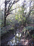 TQ4466 : The Kyd Brook - East Branch, on Gumping Common (3) by Mike Quinn
