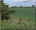 Farmland near Mill House Farm