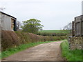 Footpath, Appleton Wiske