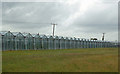 Greenhouses, Woodham Mortimer