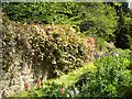 Boundary of the former walled (kitchen) garden, Inchmarlo