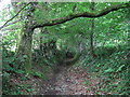 Footpath near Cross Inn