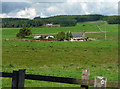 Farmland near Kirkwhelpington (3)