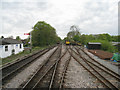 Sidings at Medstead and Four Marks