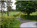 Bridleway to Cefn farm