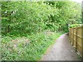 Footpath off Beckfield Road, Cottingley