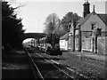 N9831 : Train passing Hazelhatch station by The Carlisle Kid