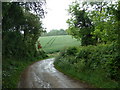 Track corner, Back Lane, Eckington