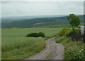 Downhill track to Plumbley