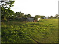 Shed cemetery