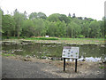 Gregynog Hall water garden