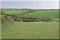 Line of footpath, Scarrabine Farm