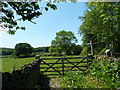 Start of footpath south of Unthank Lane