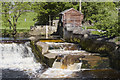 Weir and salmon leap on River Ribble at Stackhouse