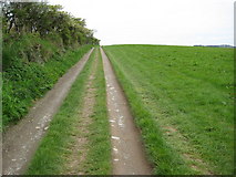 SX2151 : Track and footpath by Philip Halling