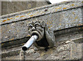 Geddington: St Mary Magdalene -  gargoyle