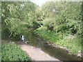 River Ravensbourne in Brookmill Park