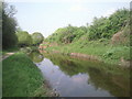 River Crane by Hounslow Heath