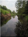 River Crane near Hounslow Heath