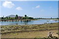 Haslar Lake at low tide (10)