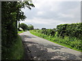 Country lane near Dunham Heath