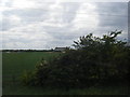 Chalton Cross Farm seen from M1