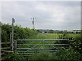 Footpath at Long Green