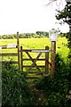 Gate to footpath