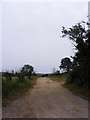 Footpath to Newbourne